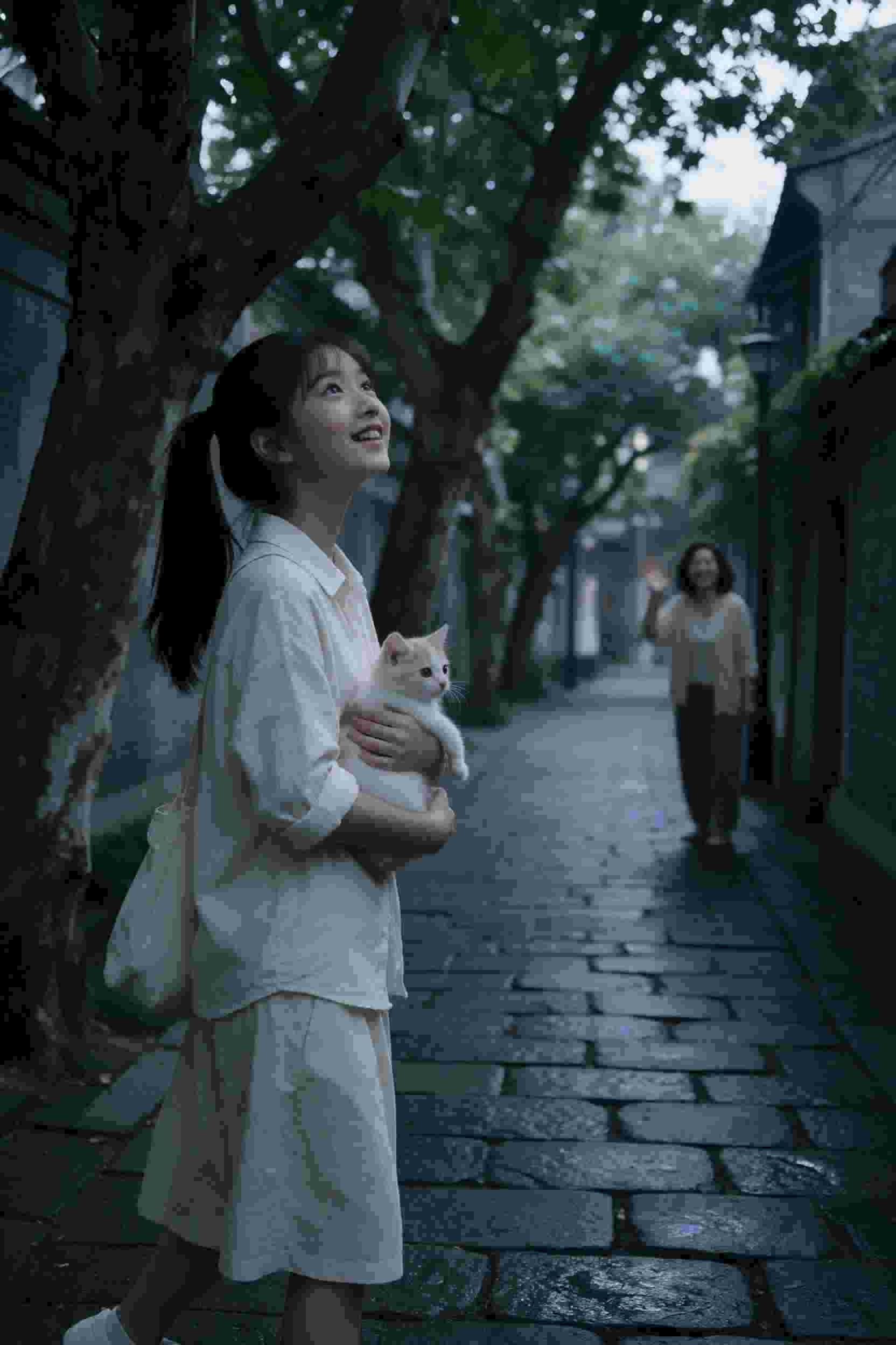 隐形的翅膀